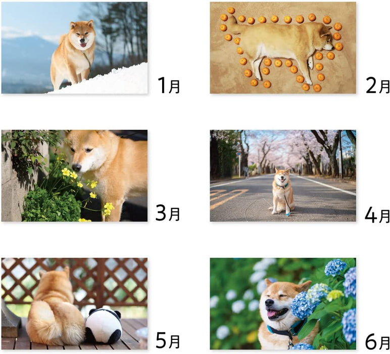 New Japan Calendar 2023 Wall Calendar Shiba Inu Maru NK8958