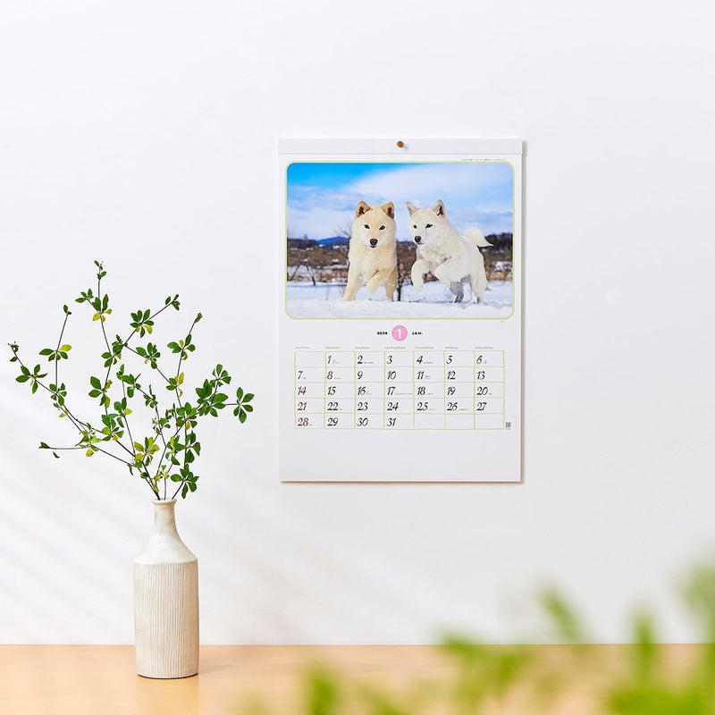New Japan Calendar 2024 Wall Calendar Little Friends NK90