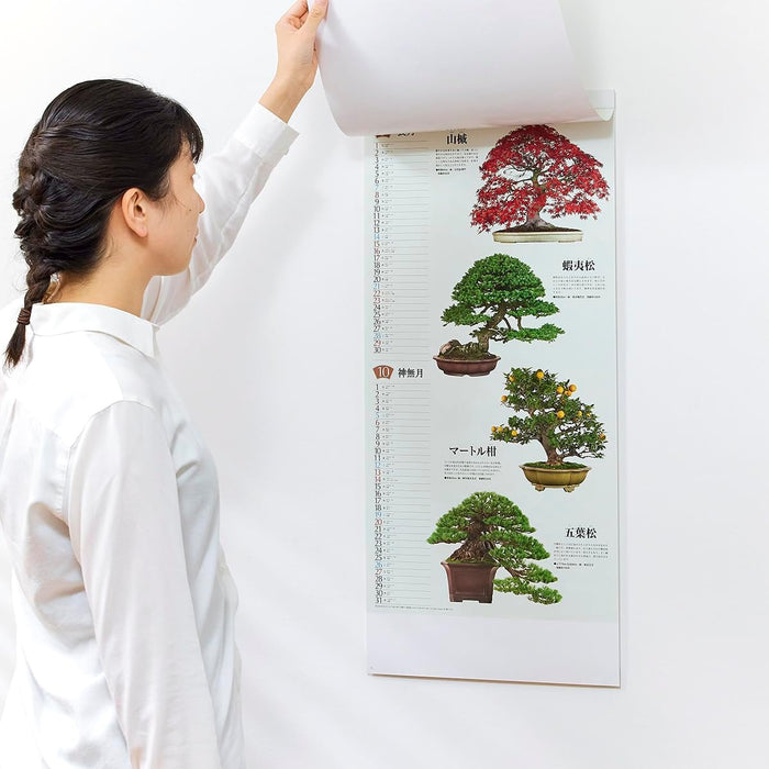 New Japan Calendar 2024 Wall Calendar Bonsai Calendar NK152 770x350mm