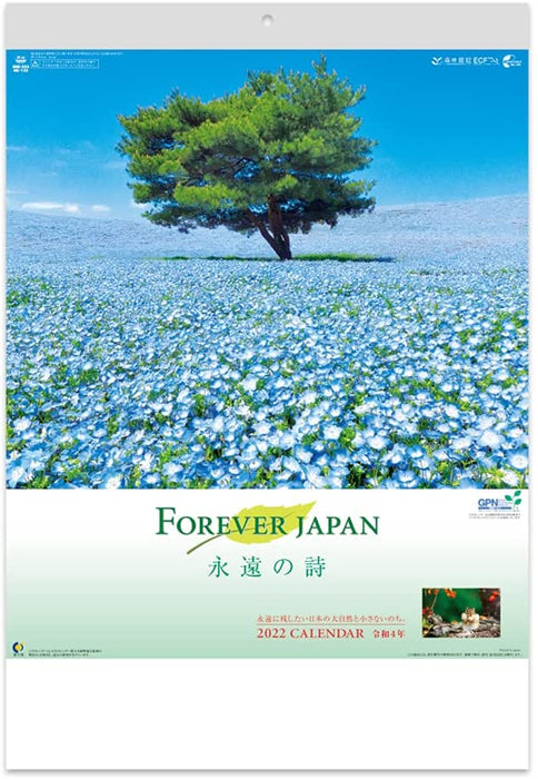 New Japan Calendar 2022 Wall Calendar Forever Japan NK142