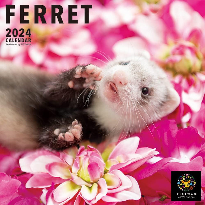 PICTWAN 2024 Calendar L Edition Ferret L033