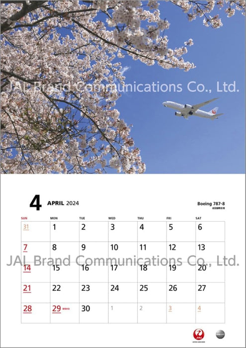 JAL 'FLEET' (Normal Size) 2024 Calendar CL24-1135