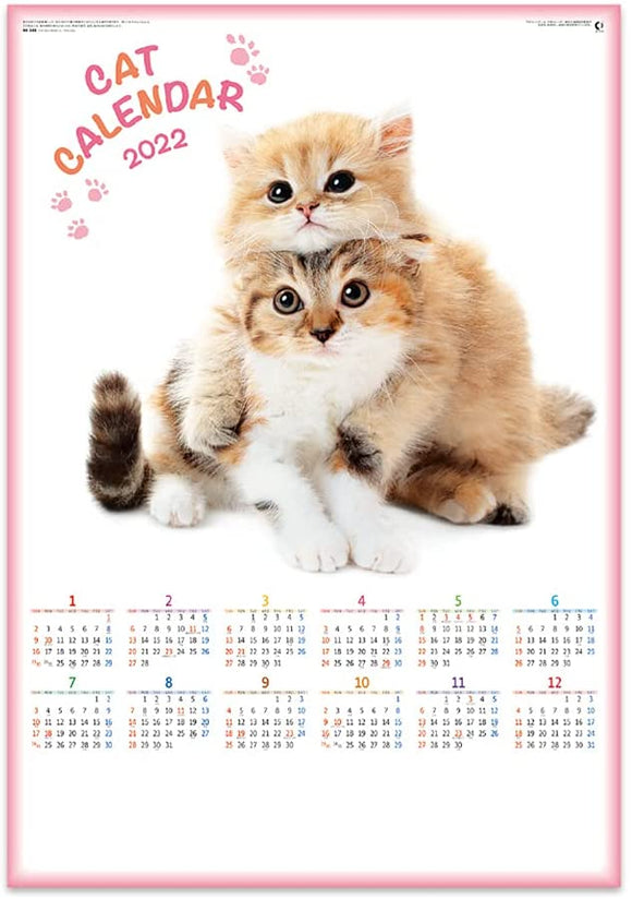 New Japan Calendar 2022 Wall Calendar Cat Calendar NK349