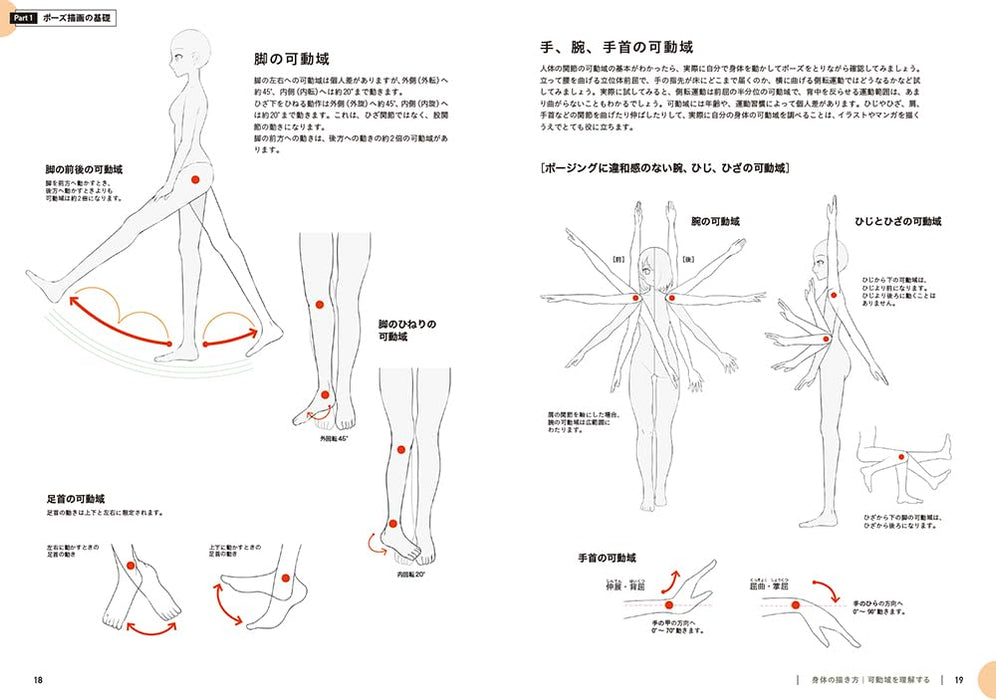 Drawing Class for Poses in Illustrations and Manga