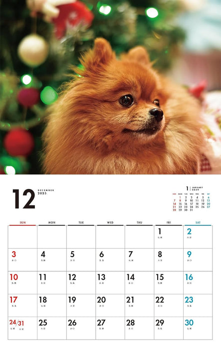 I LOVE Pomeranians Calendar 2024(Monthly/Wall Calendar)