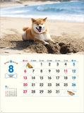 New Japan Calendar 2023 Calendar Walk with Shiba Inu Maru CL23-0392