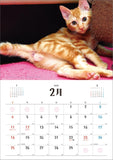 Hagoromo 2024 Wall Calendar Good Luck!! Nyantama CL24-0402