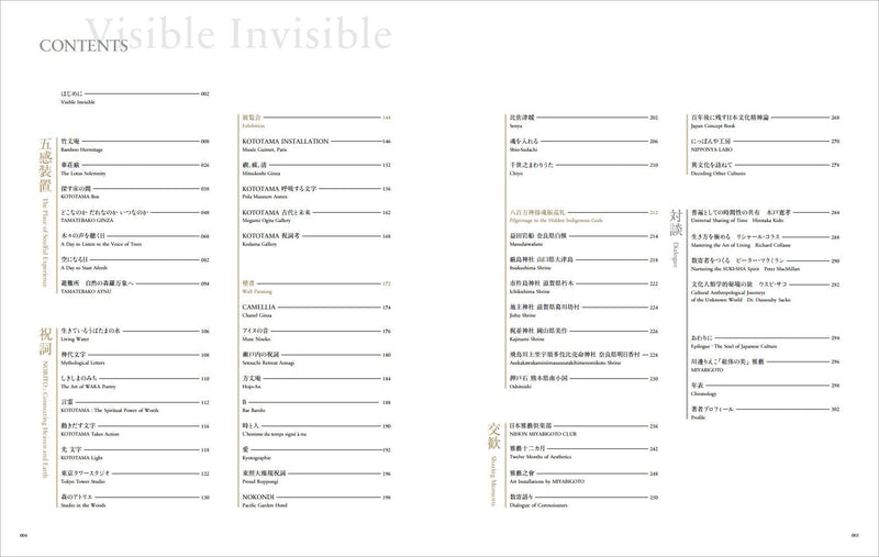 Visible Invisible
