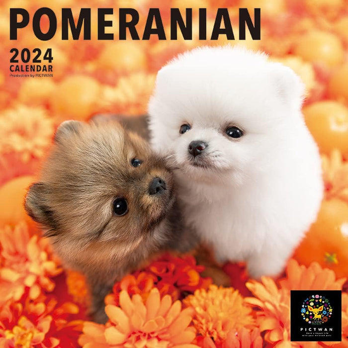 PICTWAN 2024 Calendar L Edition Pomeranian L019