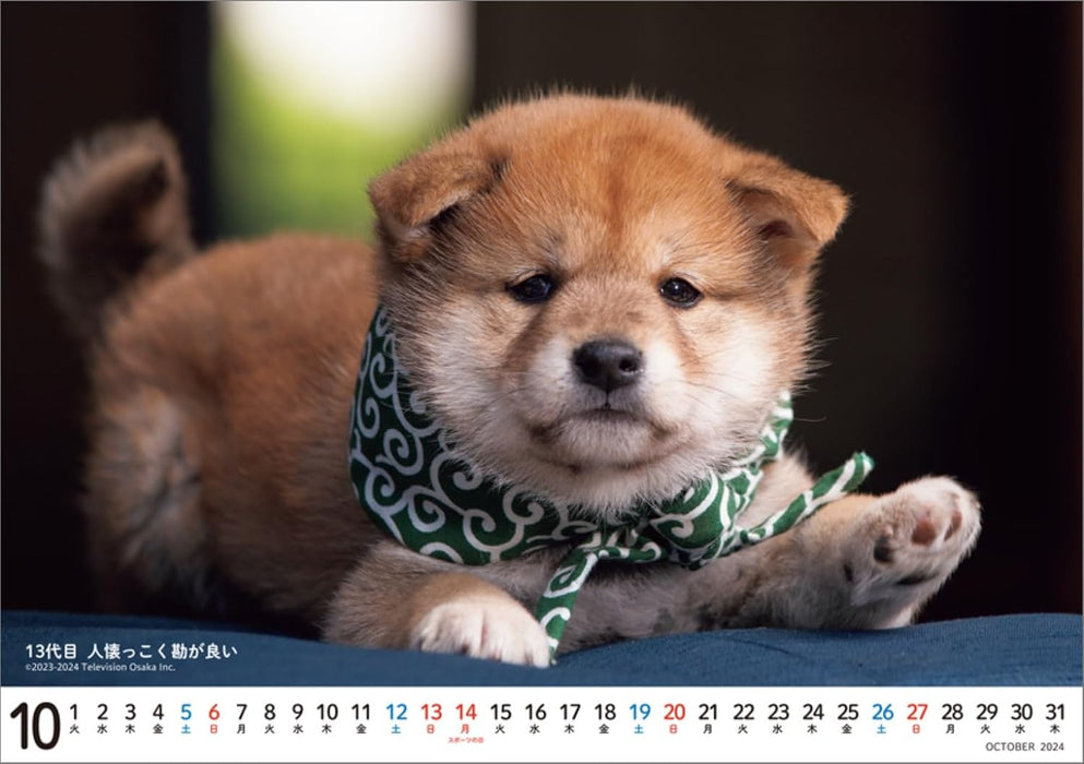 Hagoromo Mamesuke Selection 2024 Desk Calendar CL24-0391