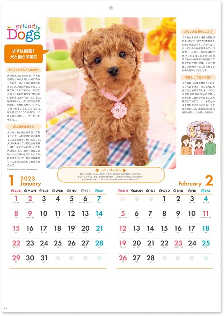 New Japan Calendar 2023 Wall Calendar Friendly Dogs NK24