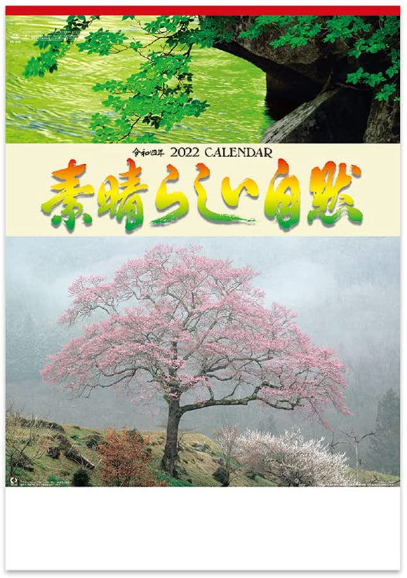 New Japan Calendar 2022 Wall Calendar Amazing Nature NK116