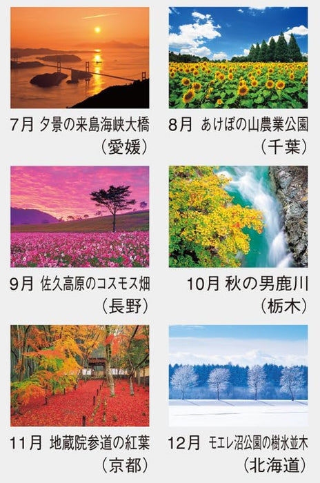 Hagoromo Wa no Irodori 2024 Wall Calendar CL24-1070