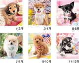 New Japan Calendar 2024 Wall Calendar Friendly Dogs NK24