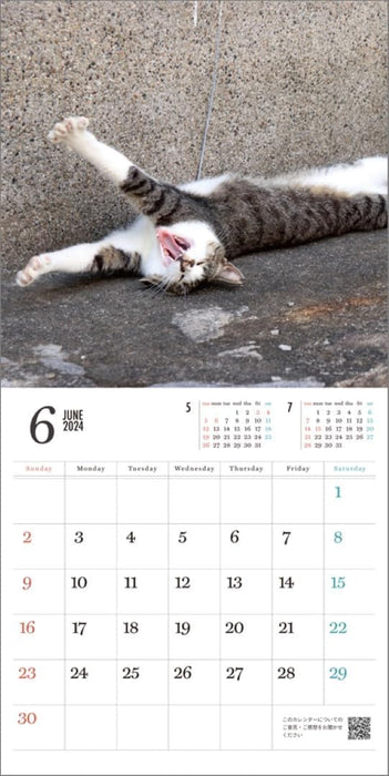 Hagoromo Relaxing Cat 2024 Wall Calendar CL24-0682