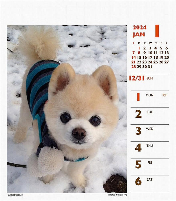 2024 Shunsuke (Weekly Mini) Calendar No.049