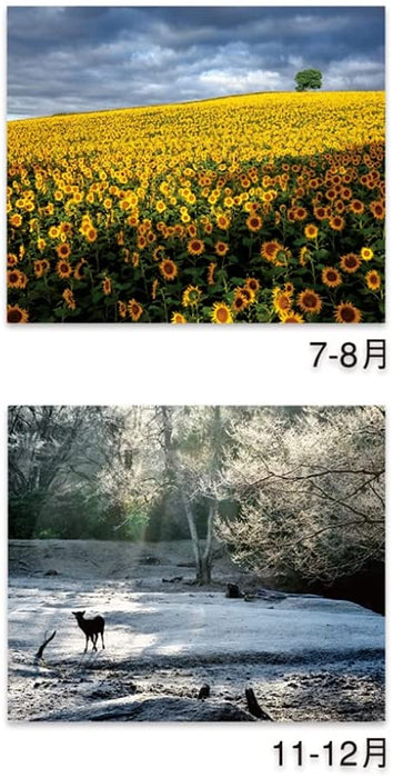 New Japan Calendar 2022 Wall Calendar Amazing Nature NK116