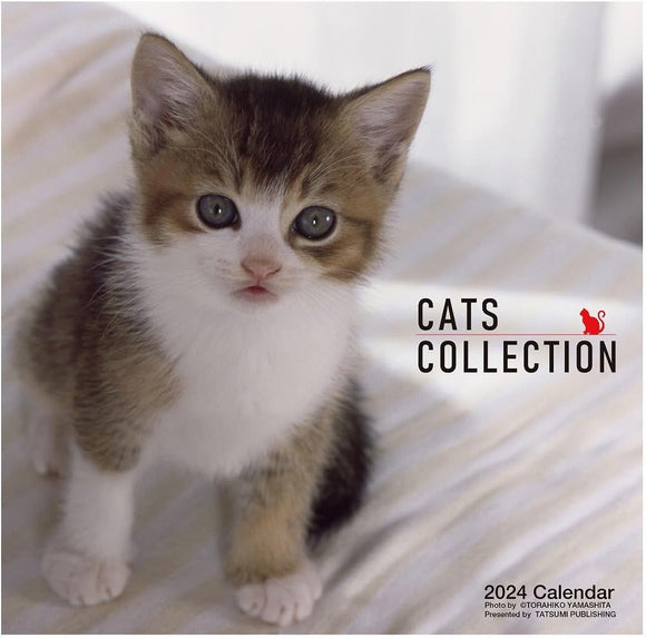 2024 Cats Collection Calendar (Tatsumi Publishing) No.064