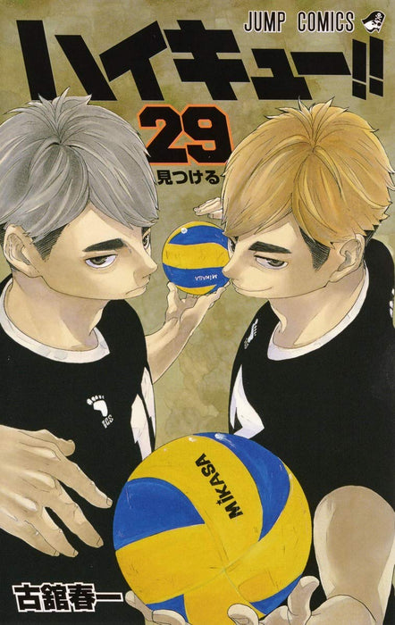 Haikyu!! 29