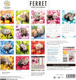 PICTWAN 2024 Calendar L Edition Ferret L033