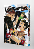 Haikyu!! 42 Doll Anime DVD bundled version
