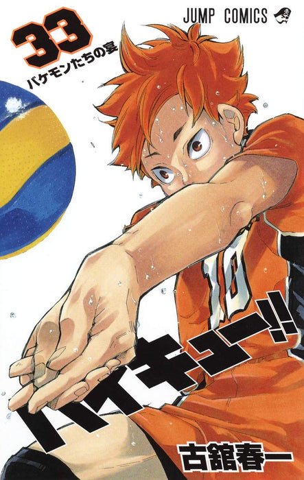 Haikyu!! 33