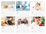 Fuwa Fuwa Nyanko Small Size (Impress Calendar 2024)
