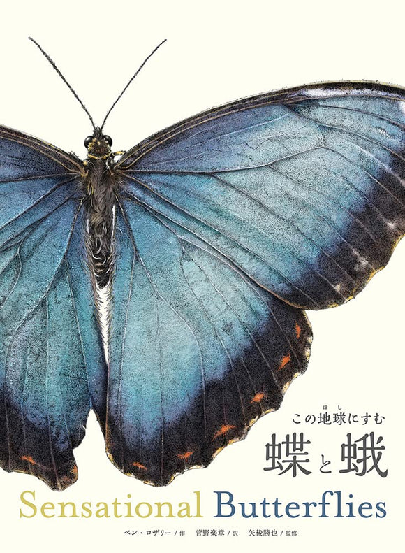 Butterflies and Moths Inhabiting This Earth Sensational Butterflies