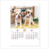 New Japan Calendar 2024 Wall Calendar Charming mate NK49