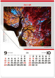 New Japan Calendar 2023 Wall Calendar Amazing Nature NK116