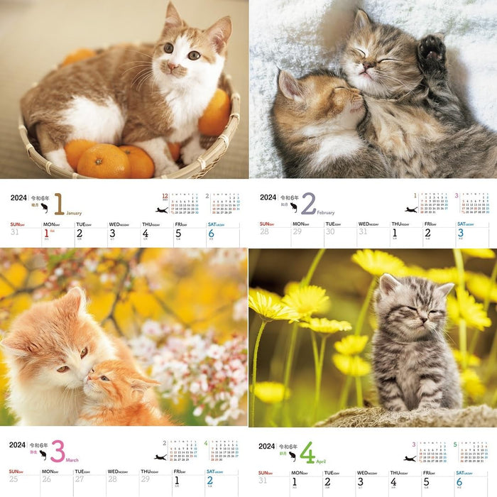 JTB Calendar Nyanko 2024 Wall Calendar