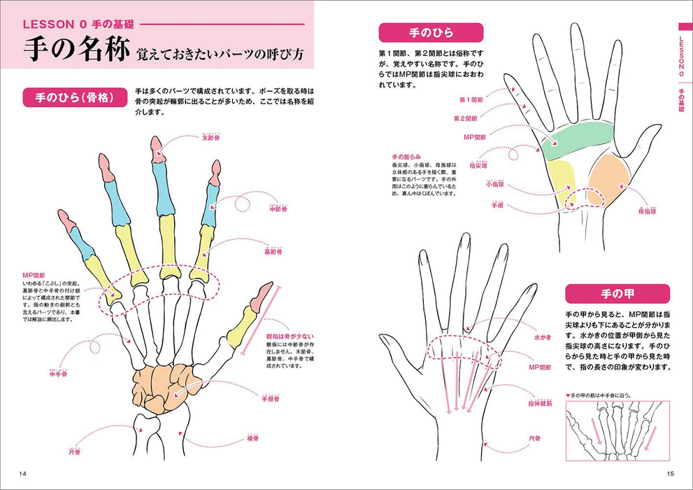 How to Draw Beautiful Hand