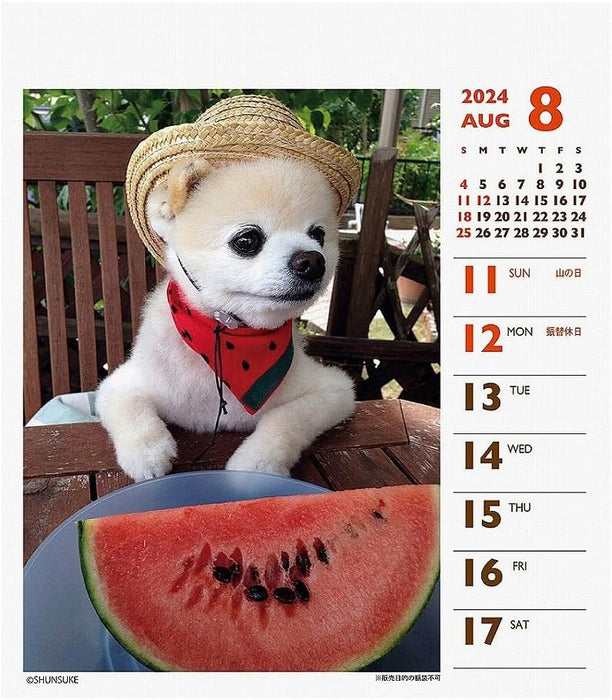 2024 Shunsuke (Weekly Mini) Calendar No.049