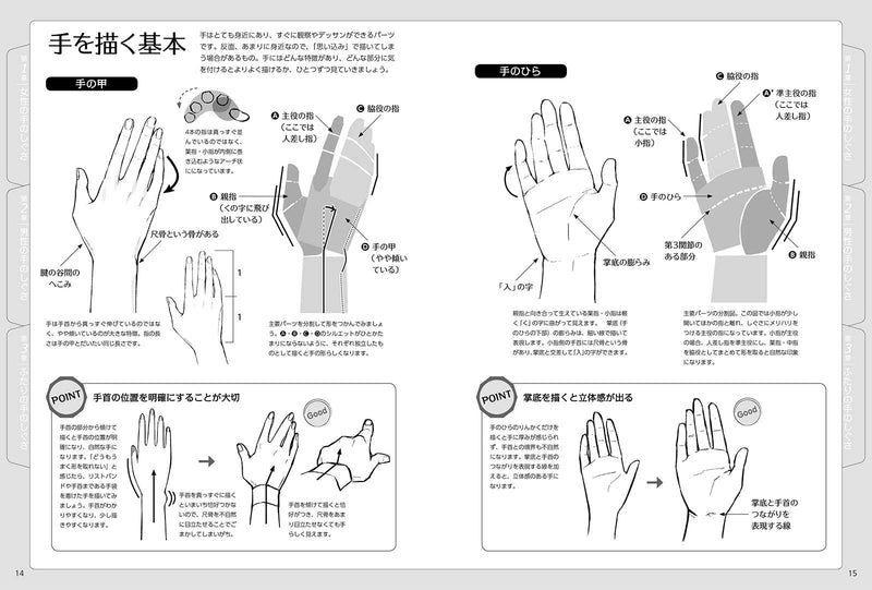 Hand Gesture Illustration Pose Collection with CD-ROM