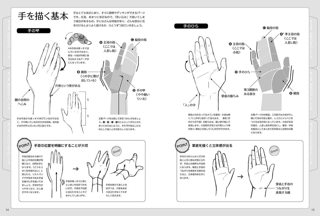 Hand Gesture Illustration Pose Collection with CD-ROM