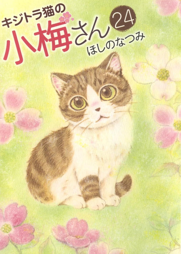 Plum Crazy! Tales of a Tiger-Striped Cat (Kijitora Neko no Koume-san) 24