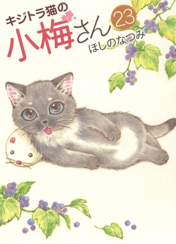 Plum Crazy! Tales of a Tiger-Striped Cat (Kijitora Neko no Koume-san) 23