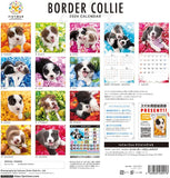 PICTWAN 2024 Calendar L Edition Border Collie L004