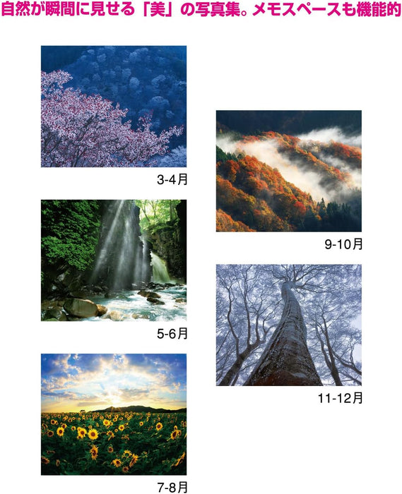 New Japan Calendar 2024 Wall Calendar Amazing Nature NK116 610x425mm