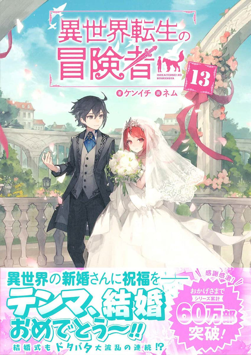 Isekai Tensei no Boukensha 13 (Light Novel)