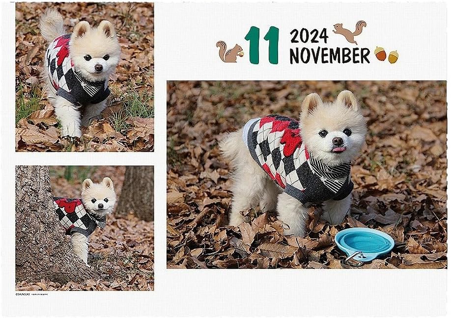 2024 Shunsuke Calendar No.048