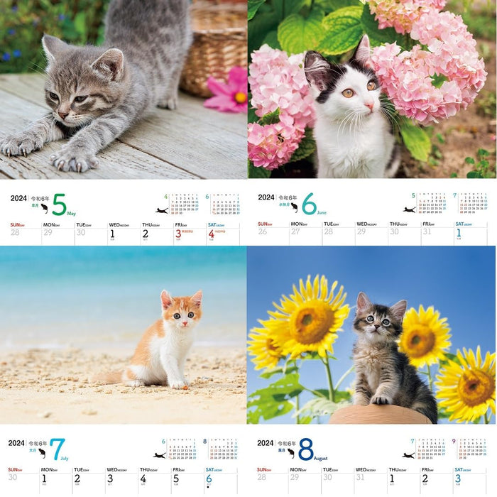 JTB Calendar Nyanko 2024 Wall Calendar