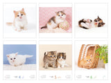 Mashikaku Koneko Calendar 2024 Happy Kitten (Impress Calendar 2024)