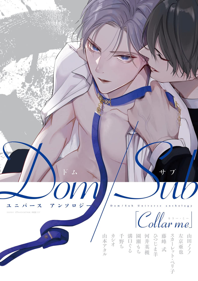 Collar me Dom / Sub Universe Anthology
