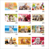 New Japan Calendar 2024 Wall Calendar Thank you! Cat NK455