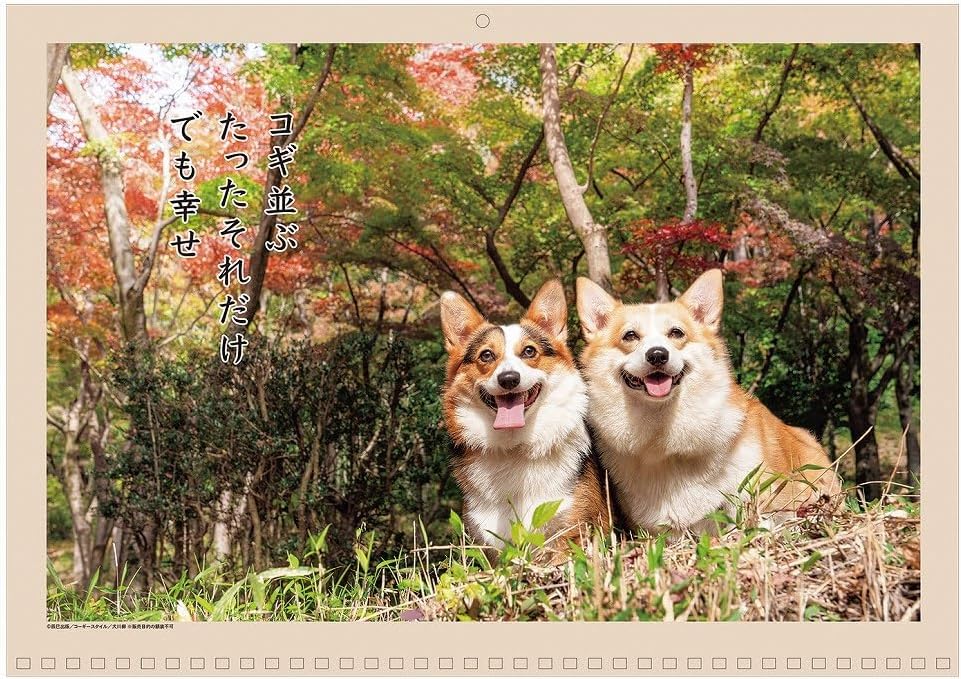 2024 Inu Senryu Calendar No.023