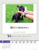 Try-X 2024 Wall Desk Calendar Only One Chance at Life! CL-387 18x14cm