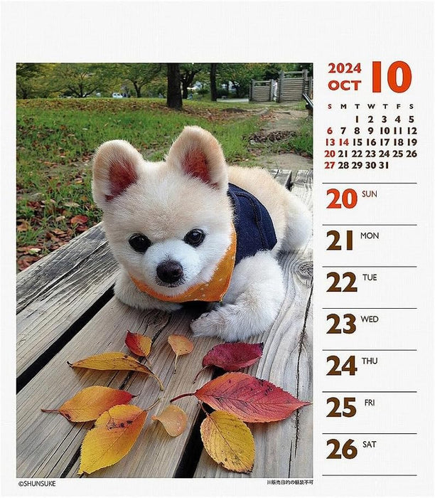 2024 Shunsuke (Weekly Mini) Calendar No.049