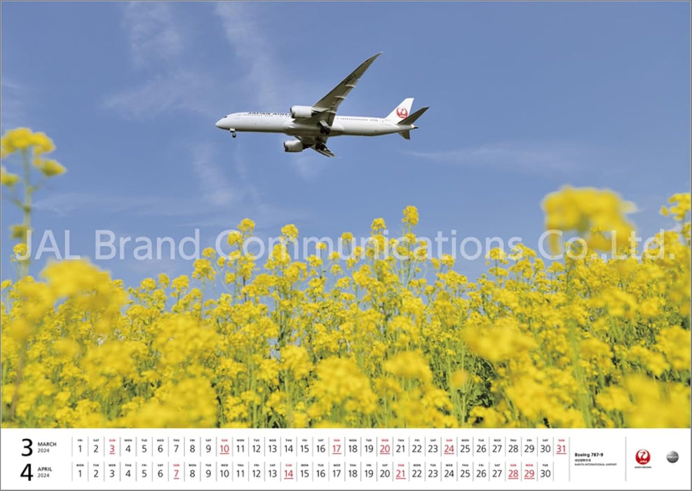 JAL 'FLEET' (Large Size) 2024 Wall Calendar CL24-1134