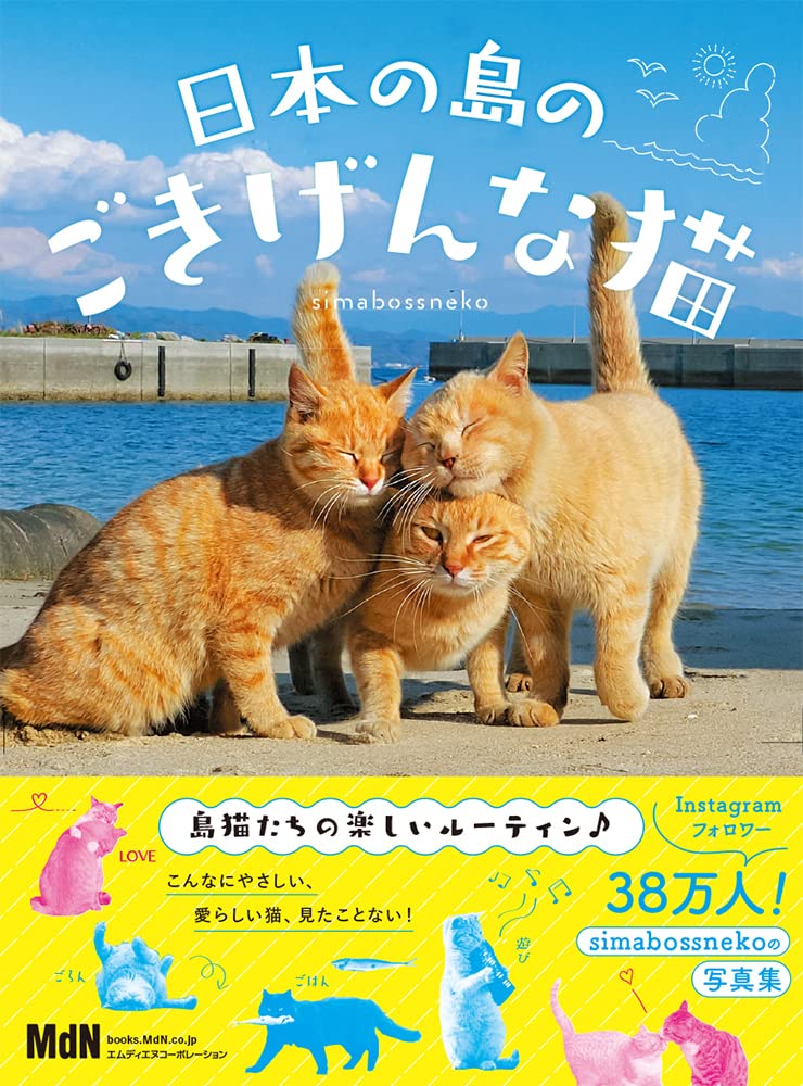 Nihon no Shima no Gokigen na Neko
